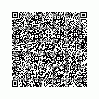 vCard 73519580085