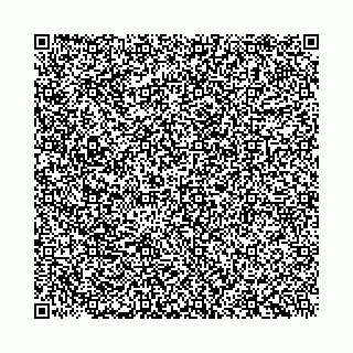 vCard 73519580091