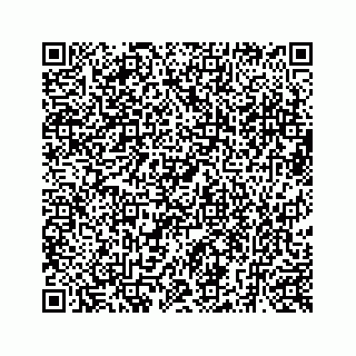 vCard 73519580130