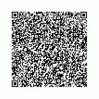 vCard 73519580131