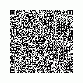 vCard 73519580133