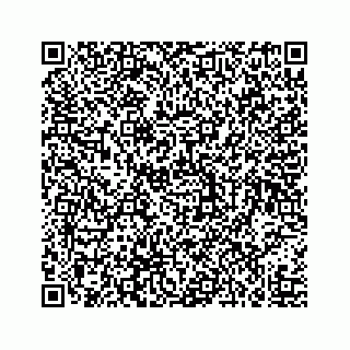 vCard 73519580138