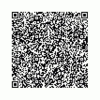 vCard 73519580209