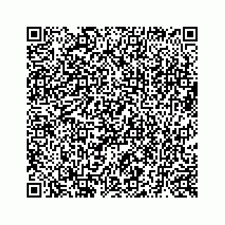 vCard 73519580217