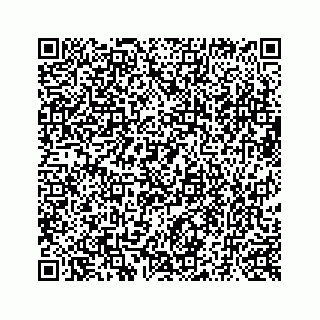 vCard 73519580250