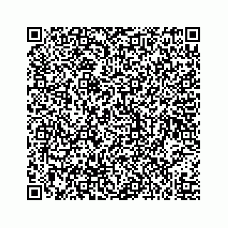 vCard 73519580251