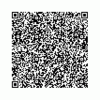 vCard 73519580271