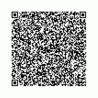 vCard 73519580291