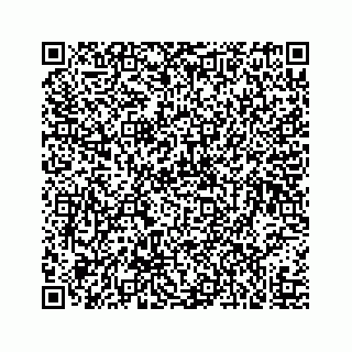 vCard 73519580295