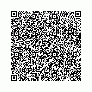 vCard 73519580299
