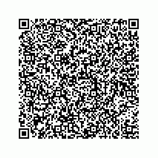 vCard 73519580317