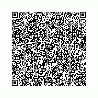 vCard 73519580324