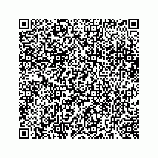 vCard 73519580339