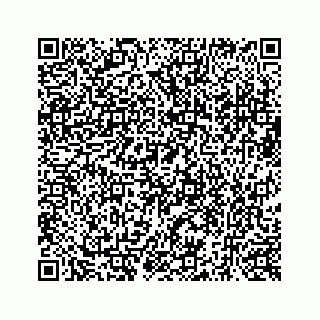 vCard 73519580378