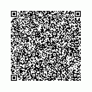 vCard 73519580381
