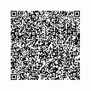 vCard 73519580382