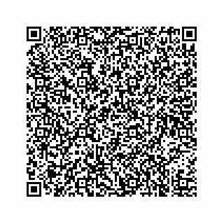vCard 73519580384