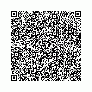 vCard 73519580387