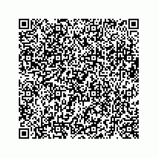vCard 73519580398