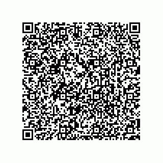 vCard 73522478209