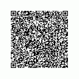 vCard 73522478287