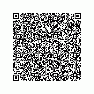 vCard 73522478319