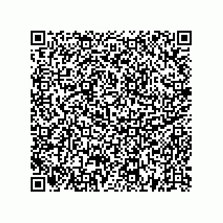 vCard 73522478325