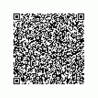 vCard 73522478387