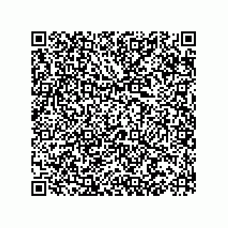 vCard 73522478389