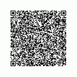 vCard 73522478411