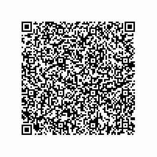 vCard 73522478538