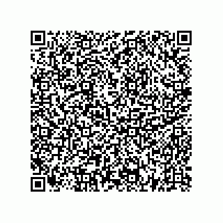 vCard 73522478635