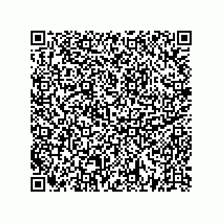 vCard 73522478638