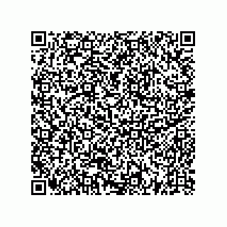 vCard 73522478681