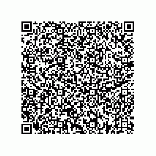 vCard 73522478721