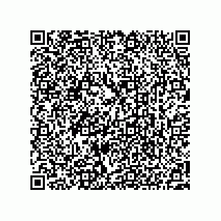 vCard 73522478729