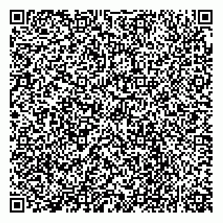 vCard 73522478733