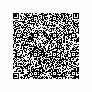 vCard 73522478809