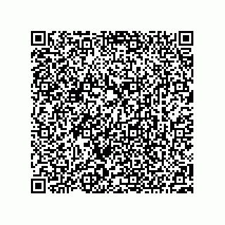 vCard 73522478817