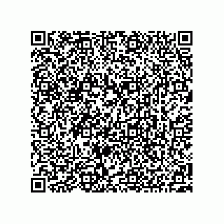 vCard 73522478819