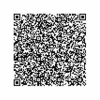 vCard 73522478821