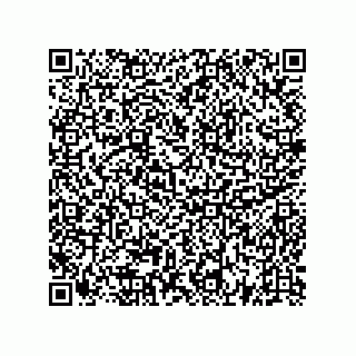 vCard 73522478825