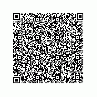 vCard 73522478829