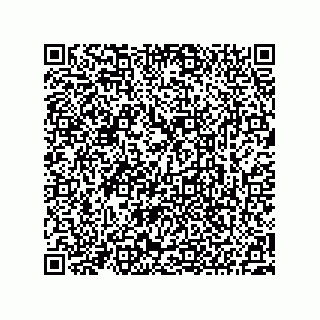 vCard 73522478845