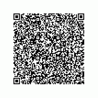 vCard 73522478849