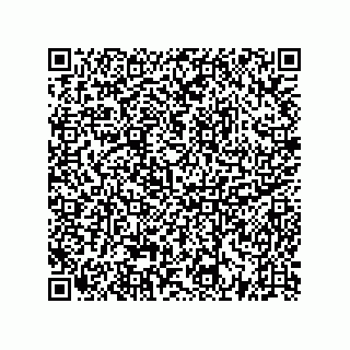 vCard 73522478850