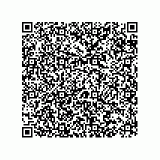 vCard 73522478853