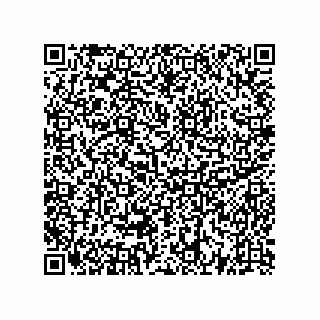 vCard 73522478861