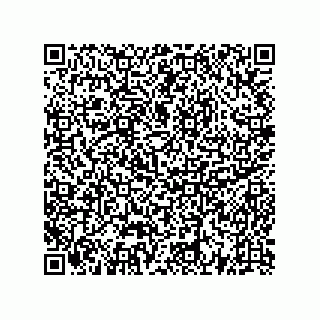 vCard 73522478874
