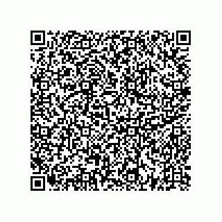 vCard 73522478880
